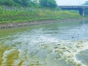 望都污水清运多少钱